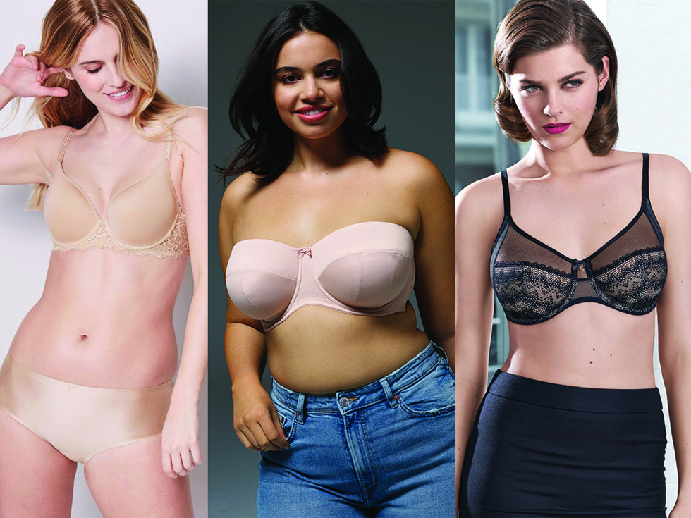44 Best Plus-Size Bras for Comfort and Support in 2019