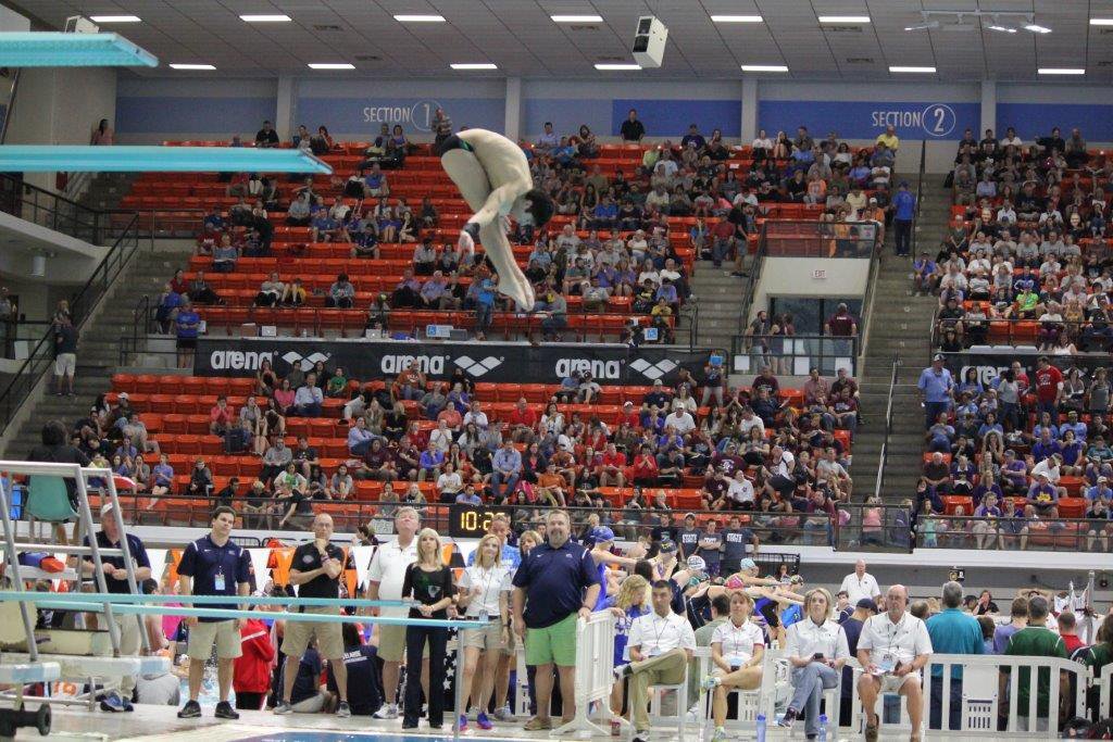 Carroll Diver Heading to Duke, Looks Toward 2020 Olympics ...